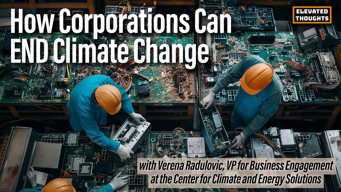 Episode 33: From Sustainability to Circularity – Bridging the Gap with Verena Radulovic