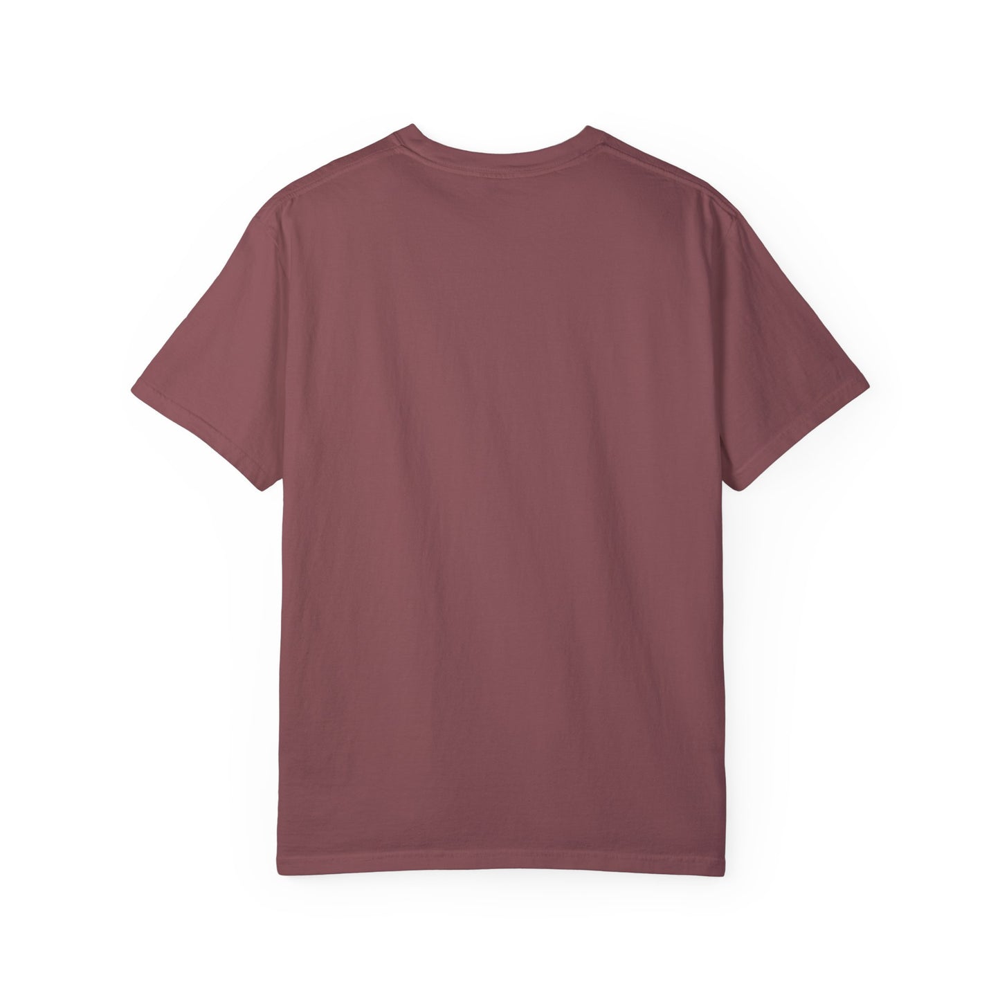 Reagan on Plane Tee