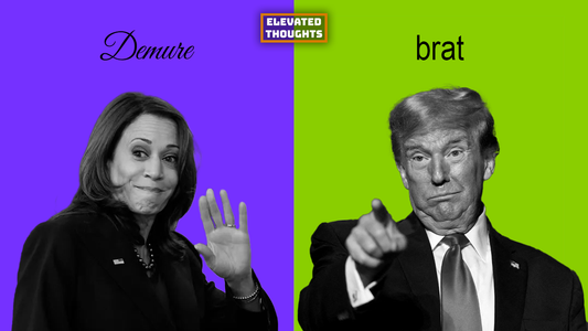 Episode 29: Demure or Brat? Consumerism, Politics, and the Changing Landscape of Voter Influence